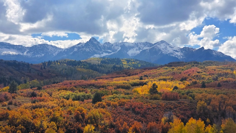 Mt. Sneffels in the distance with snow-capped peaks above a sweep of autumn aspens in red, orange, and gold