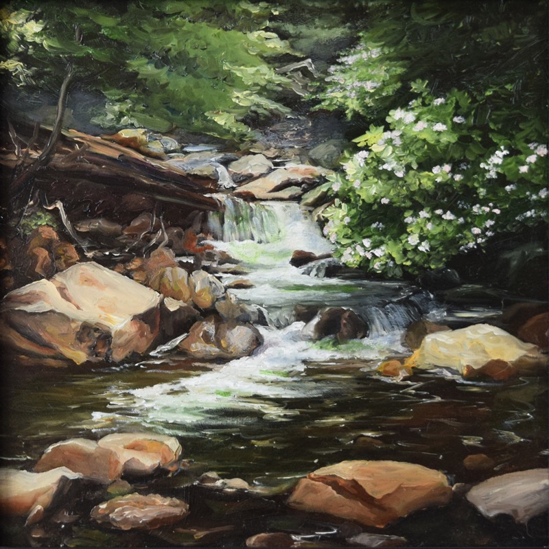 Abrams Creek — oil painting of a small waterfall and clear stream tumbling over sunlit boulders, blooming mountain laurel on the right bank