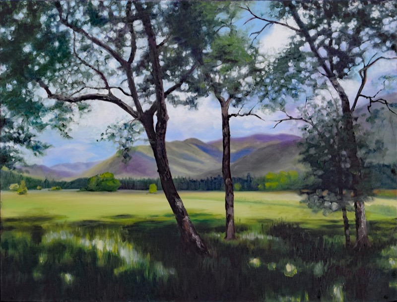 Into the Light — oil painting of the Cades Cove meadow seen through dark tree trunks, sunlit green grass opening to blue and violet mountains under a bright sky