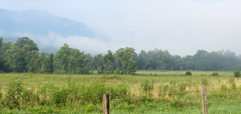 Cades Cove at dawn — fog lifting off a green meadow with a split-rail fence and a Smoky Mountain ridge behind