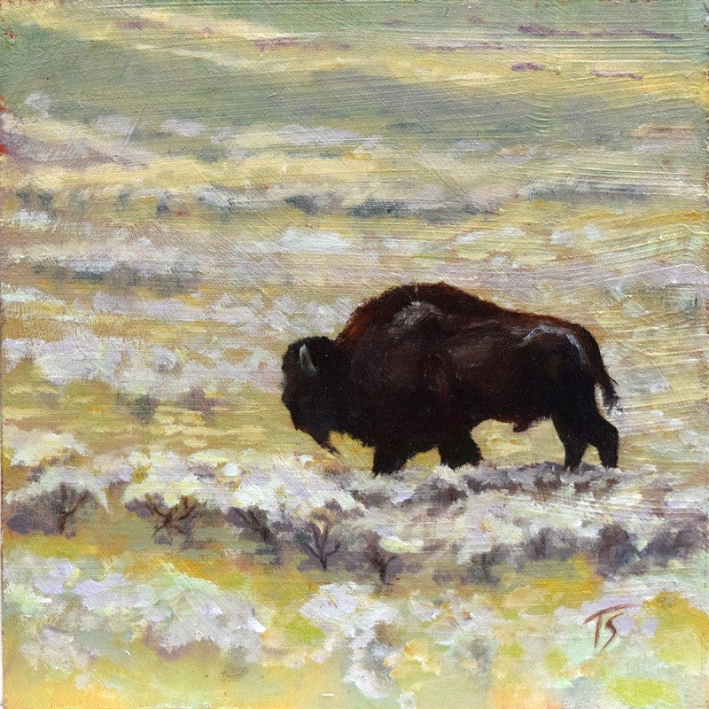 Biggie Boy — a soft, minimal oil painting of a dark chocolate-brown bull bison crossing a pale field of silvery sage and soft yellow-green; muted earth tones, quiet and calming