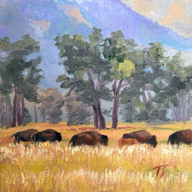 Bison Beneath Shadow Mountain — a warm, pastoral oil painting of a dark-brown bison herd grazing in a sunlit golden-yellow meadow, tall green trees and a soft blue-violet sky behind; earthy and peaceful