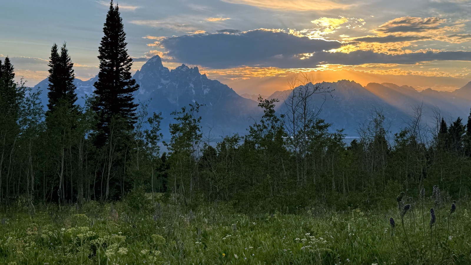 The Teton Range at sunrise — jagged blue peaks with golden sun rays breaking through the clouds above a green wildflower meadow dotted with purple lupine; warm gold and cool blue, awe-inspiring